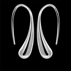 New Sterling Silver Hook Drop Earrings
